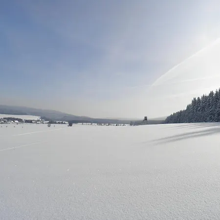 Lägenhetshotell V Orlickych Horach 3*